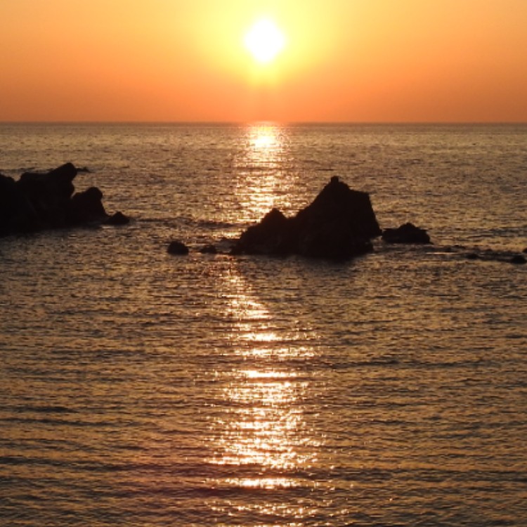 越前海岸くりや温泉　金龍