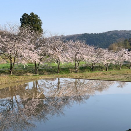のうじくみあいほうじんなたうち