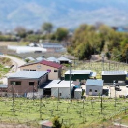 東夢ワイナリー