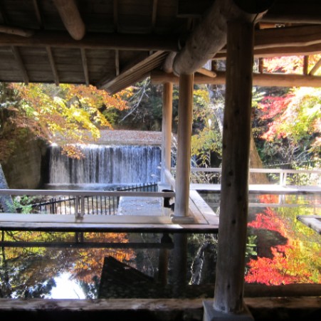 温泉三昧の宿　四万たむら／四万グランドホテル