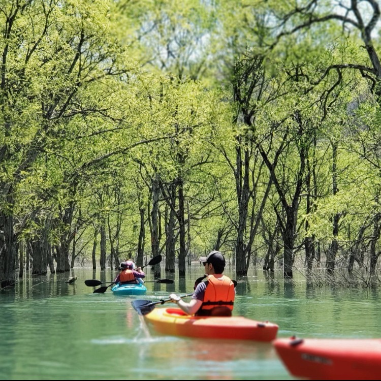 いいでカヌークラブ