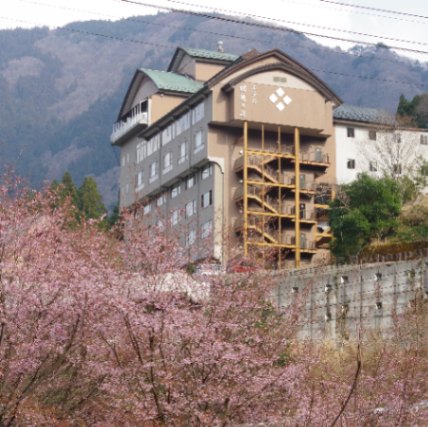 祖谷渓温泉ホテル秘境の湯