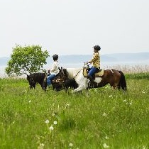 三沢ホースパーク