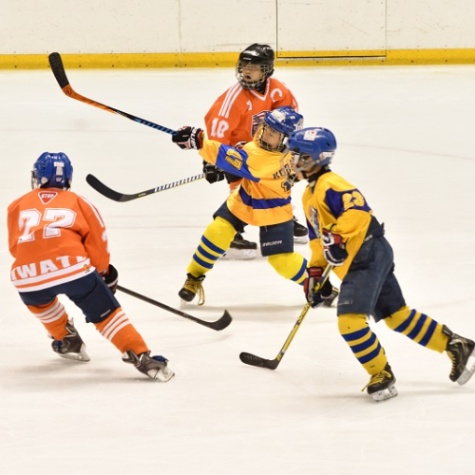 豊橋カップ小学生アイスホッケー大会実行委員会