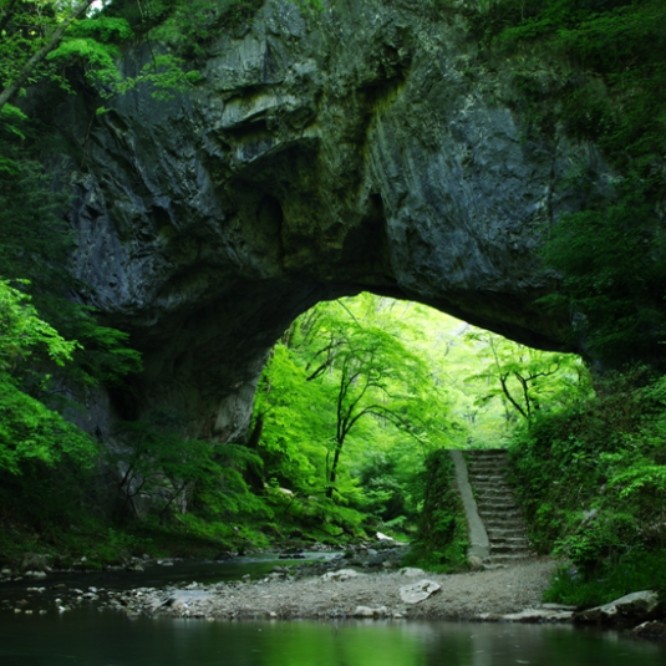 庄原ファンクラブ