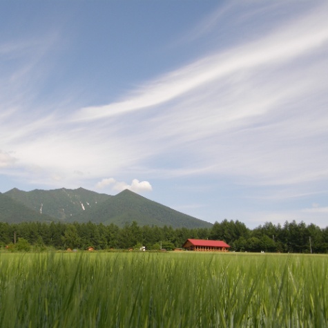 富良野ジンギスカンひつじの丘
