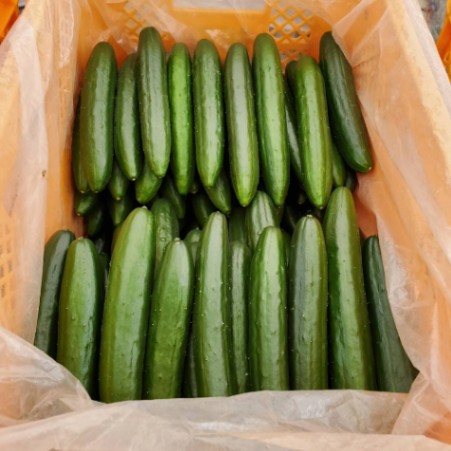 ナリマツファーム