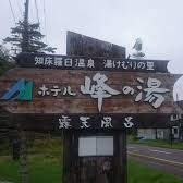 有限会社ホテル峰の湯