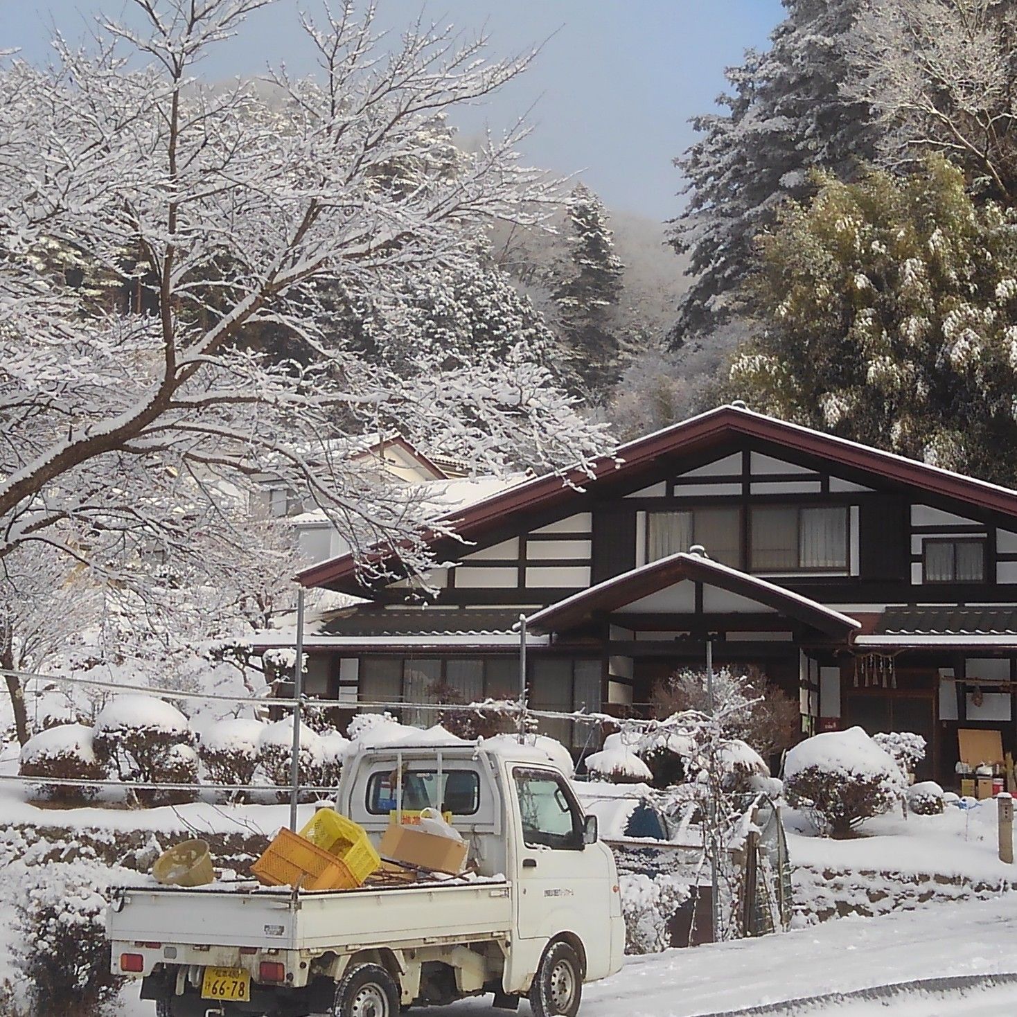 日本最古の道祖神がある福寿草の里信州沢底　合鴨農法の薮田グリーンファーム