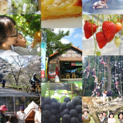 有限会社福田フルーツパーク