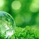 SPR綱城荘 SPR港家　リストランテマール