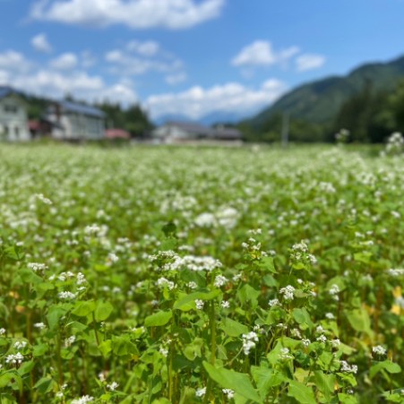大井沢地域活性化協議会