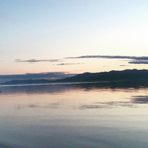 尾上温泉　旅館　紅鮎
