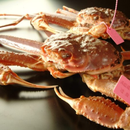 にしたにや海華