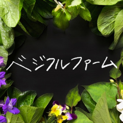 ベジフルファーム（千葉農場）