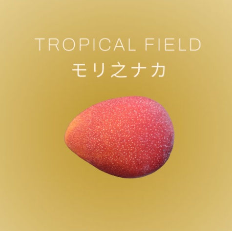 TROPICAL FIELD モリ之ナカ