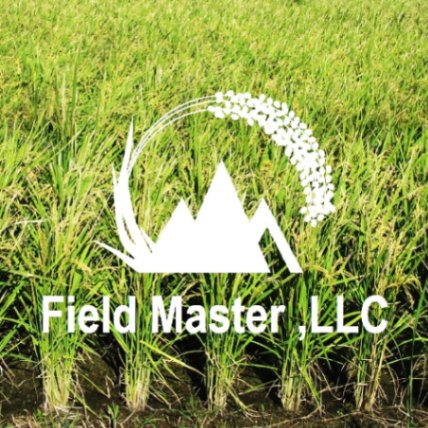 フィールドマスター合同会社