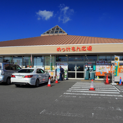 果樹王国の和歌山で農に携わる方大募集〜！