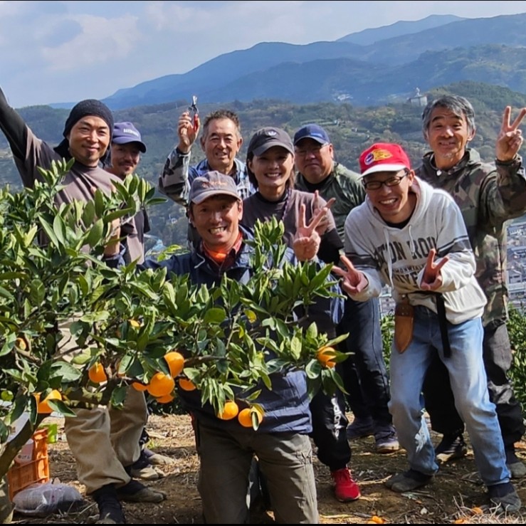 一緒に｢日本一のみかん｣の収穫作業をしませんか？ 是非ともお力を貸して下さい【男性スタッフが多数在籍している職場です】🍊