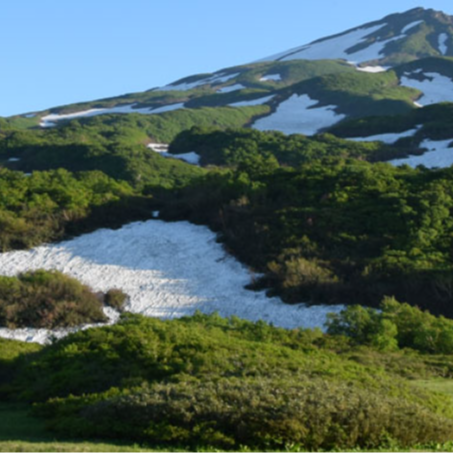 【秋田・由利本荘】仕事の後は100%源泉掛け流しの湯へ。老舗旅館で「旬の味」と「おもてなし」を届ける冬のおてつたび