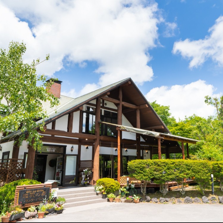 木漏れ日の森で働く軽井沢時間🌲  塩沢の森で、働きながら軽井沢の日常に触れるおてつたび