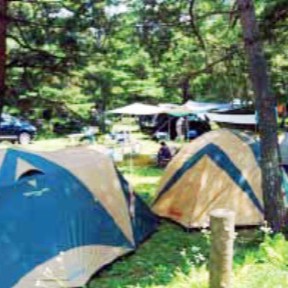 【長野・小海町】八ヶ岳の高原キャンプ場を支える施設管理スタッフ募集！ 松原湖高原オートキャンプ場で“自然の中の運営”を体験しよう♪