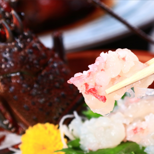 老舗海鮮旅館 ”潮風薫る旅館” でおてつたび！✨ 新鮮な海の恵みと温かなおもてなしにふれる