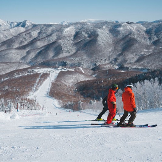 【リフト券付きでスキーも全力満喫！】パウダースノーの奥志賀高原で働きながら滑る毎日！高原リゾートで、客室清掃・ハウスキーピングのおてつたび募集！