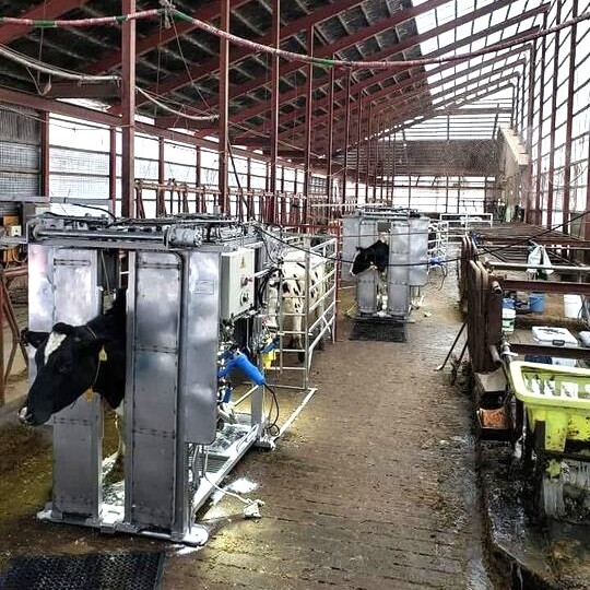 乳牛の「一生の足元」を支える、酪農家さんの相棒。 北海道内でも有数の酪農が盛んなオホーツクで、牛の爪を切る削蹄（さくてい）の補助をお願いします🐄