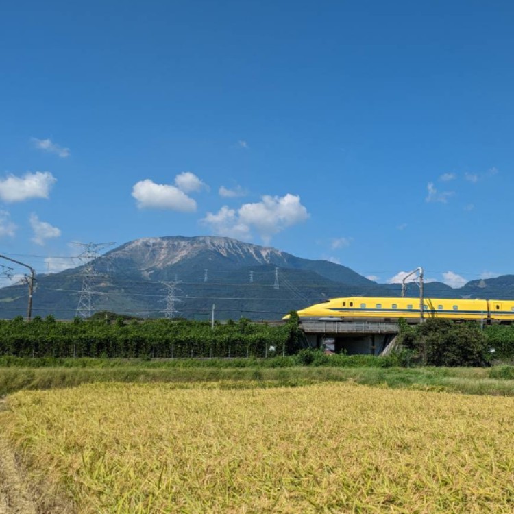 伊吹山が見える田んぼで、一緒に田植えをしませんか？🌾