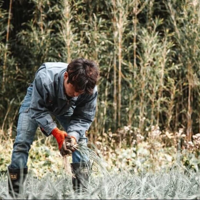 【9月】“秘境”トカラ列島の中之島でししとうの収穫、島らっきょう栽培、加工品の製造等のお手伝い。地域の人と一緒に汗をかきながら島ぐらしを体験しませんか？