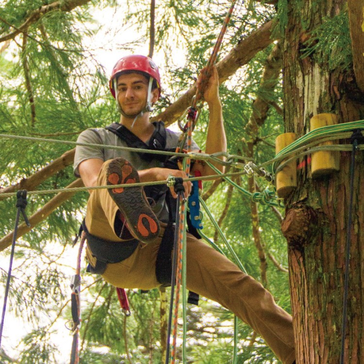 奈良の秘境・十津川村 | アウトドア好き歓迎。ツリーハウス・キャンプ施設の運営に関わる、身体を動かす「空中の村」でのおてつたび。