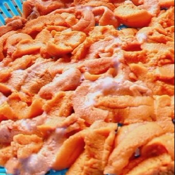 【7月前半】北海道・花の浮島 礼文島でウニ剥きのおてつたび\軽作業/\初心者大歓迎/