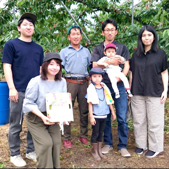 【16日間のおてつたび】アットホームな農園で初夏の果実、さくらんぼの収穫・選別作業のお手伝い🍒🍒