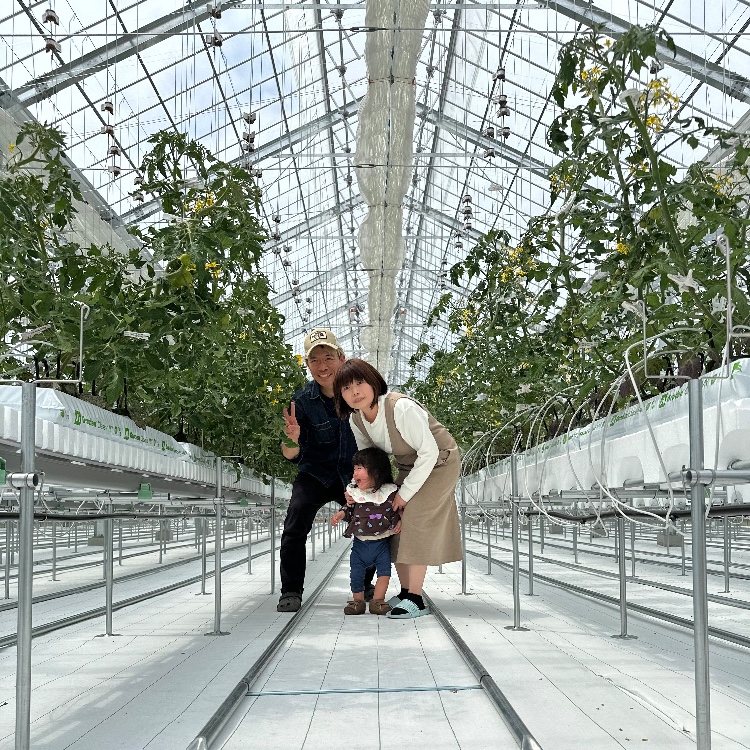 開園したてのトマト農園での収穫や選果業務！🍅