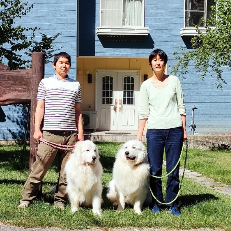 長野県・乗鞍高原｜1000坪のドッグランがあります🐶乗鞍高原の大自然で、ワンちゃんとお客様の笑顔に囲まれるおてつたび！