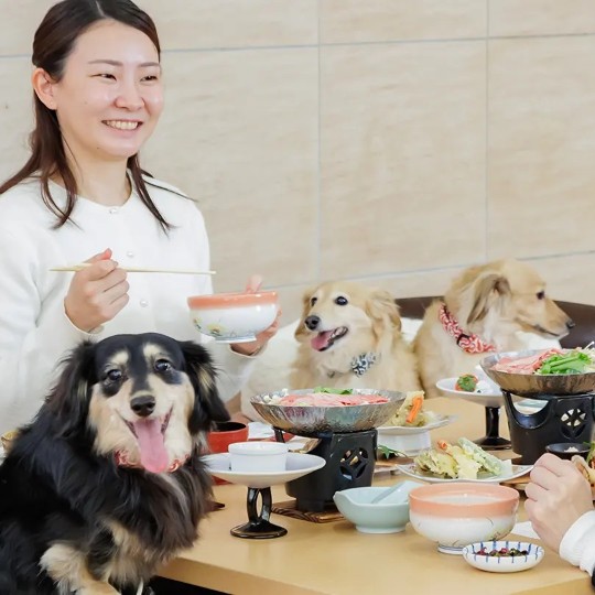 愛犬と泊まれる温泉リゾート『亀の井ホテル塩原』🐶お客様とワンちゃんをおもてなしするレストランホール・サービス業務のおてつたびを募集します🐕