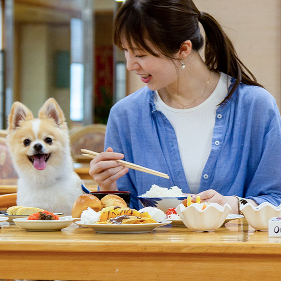 【皆生温泉】わんちゃんと一緒のお客様をおもてなし🐕動物好き大歓迎！海辺の温泉宿でホールスタッフのおてつたび