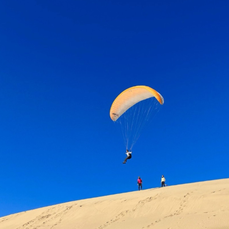 【※特別募集※/パラグライダーライセンスを取ろう！/アウトドア＆スキルアップのワンシーズン/まずは2か月お試しその後直接雇用可/1日6～8時間勤務】雄大な砂の風景に囲まれながら、思いっきり体を動かし、空と海の世界にはまってみませんか？