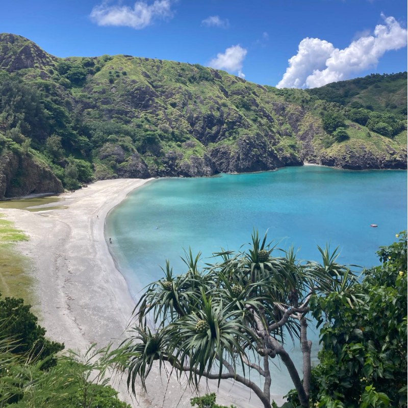 世界自然遺産・小笠原で、海と暮らすオーベルジュのおてつたび ― 島民にも愛されるレストランとお宿の清掃業務をお願いいたします♪女性就業率90%💁‍♀️女性が活躍している現場です！！