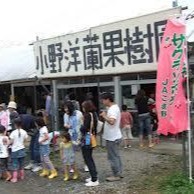 【南アルプスファームフィールドトリップ】桃ぶどう生産量日本一の山梨県にある南アルプス市エリアで果樹作業や農産加工など食にまつわるおてつだびしませんか！？