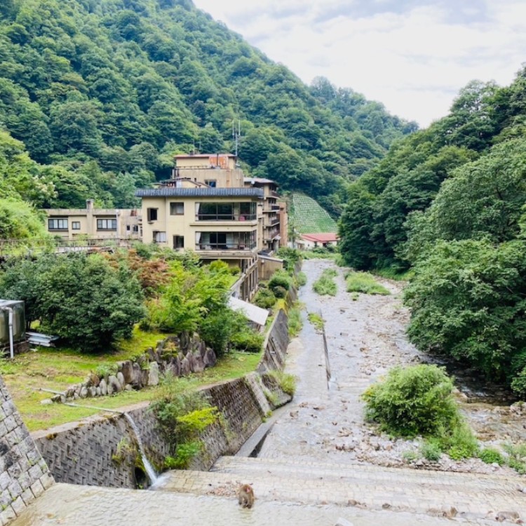 野山色づく秋🍁富山に来られ〜！秘湯の宿『記念日の宿』でおてつだいしませんか？お客様を笑顔でもてなしてくださる方大募集