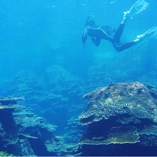 【人口20名の離島おてつたび】夏の鵜来島、海が“遊び場”になる。「うぐるBOX」で、宿しごと＋ガイド＋食事サポートのアクティブおてつたび🐠