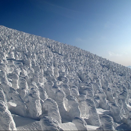 蔵王温泉、行こう！！スキー　スノボ　やろう！　温泉にも入りたい！　語学にも磨きをかけたい！　　　　そっか！おてつたびに行こう！