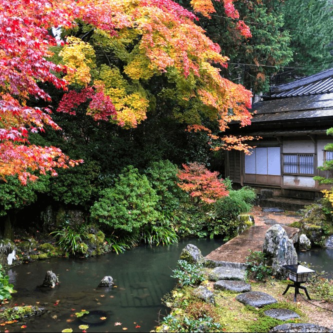 【秋の世界遺産・高野山で自分を見つめて過ごしませんか】1200年続く天空都市の中での「おてつたび」！宿坊寺院やお土産店舗などでのお手伝いをしながら高野山での暮らしが体験できます