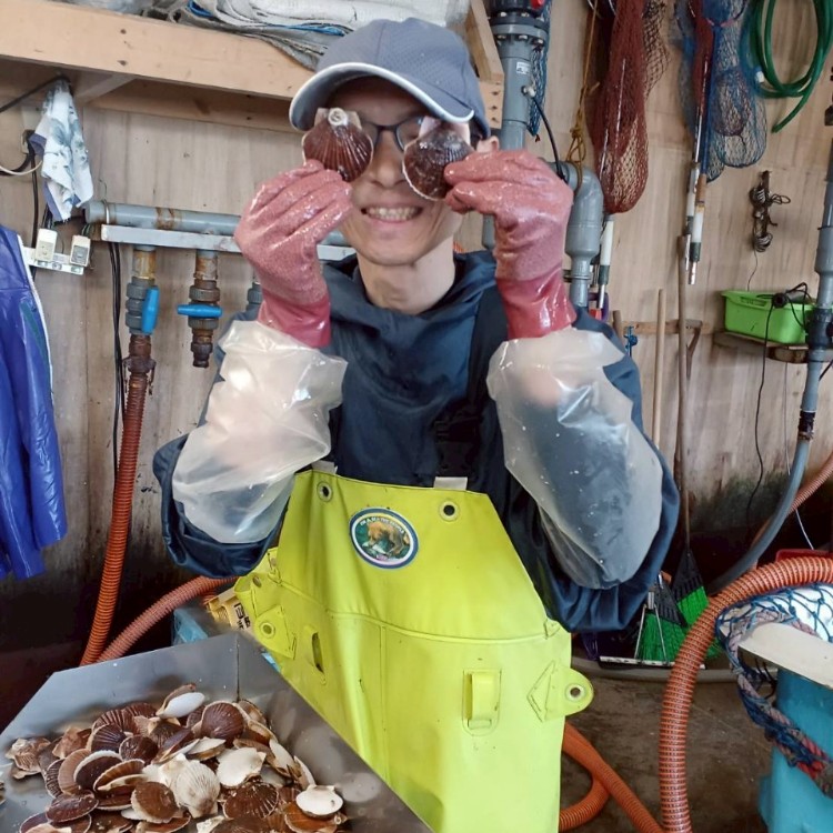 《日程変更》噴火湾ホタテ養殖発祥の地でお仕事！海と山に囲まれた小さな町でホタテ養殖漁業を体験してみませんか？