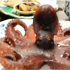 【離島×温泉×海の幸】日間賀島「日間賀荘」で海を感じるおてつたび🌺