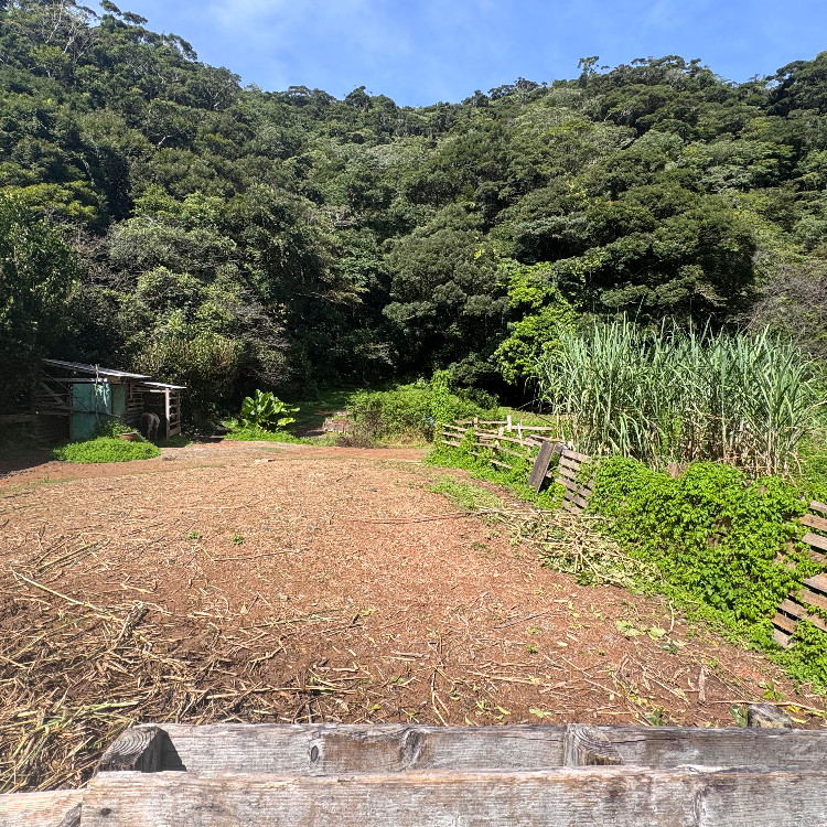 南の島（奄美）で適度に働いてのんびり時間を過ごしませんか？お仕事にストレスを感じている方におすすめです。