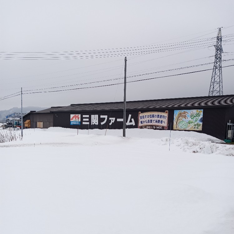 雪国・秋田で旬を収穫！三関せりの収穫作業をおてつたび