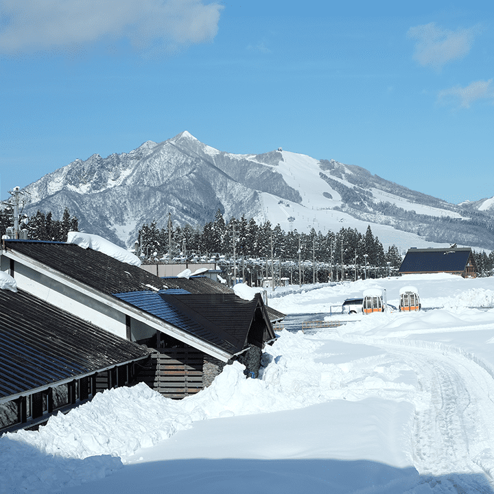 リピーターに愛されるアットホームな湯沢の宿で、お客様を迎えるおてつたび🏔女将・若女将・若旦那の家族3人で経営しています。